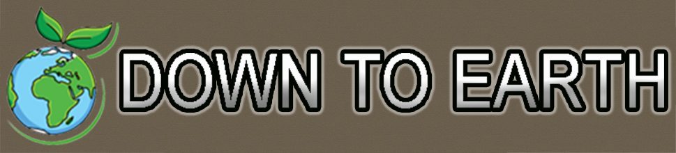 Down To Earth Online